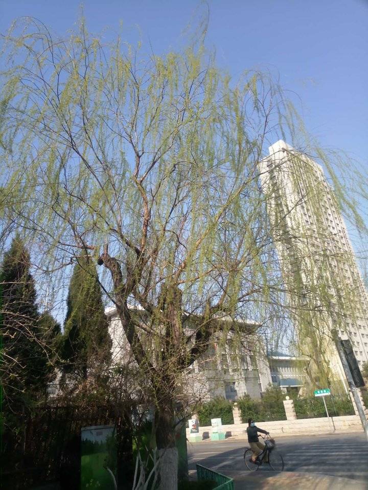 腾博会app_手机版下载
网-腾博会app新闻门户 传播品质资讯